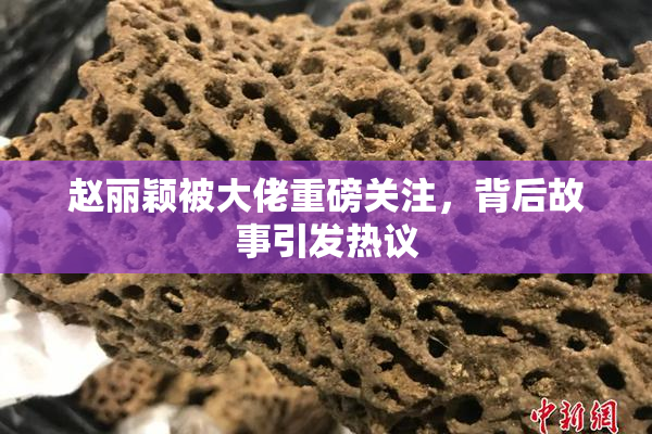 赵丽颖被大佬重磅关注，背后故事引发热议