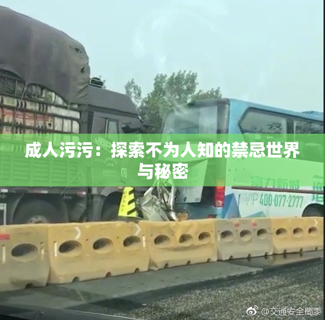 成人污污：探索不为人知的禁忌世界与秘密
