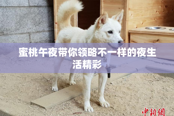 蜜桃午夜带你领略不一样的夜生活精彩