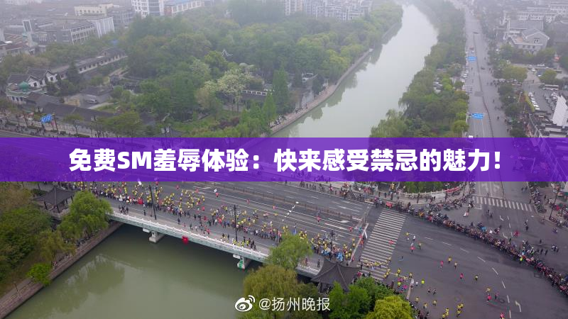 免费SM羞辱体验：快来感受禁忌的魅力！