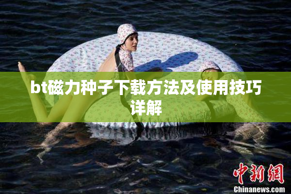 bt磁力种子下载方法及使用技巧详解