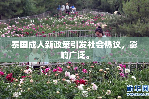 泰国成人新政策引发社会热议，影响广泛。