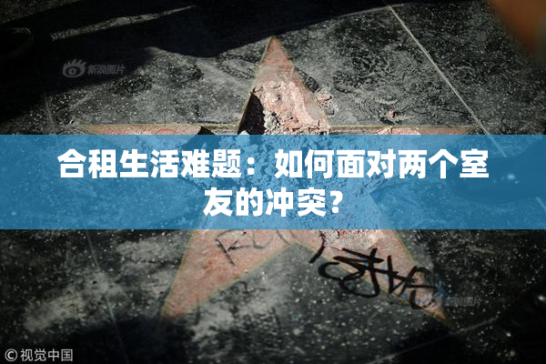 合租生活难题：如何面对两个室友的冲突？