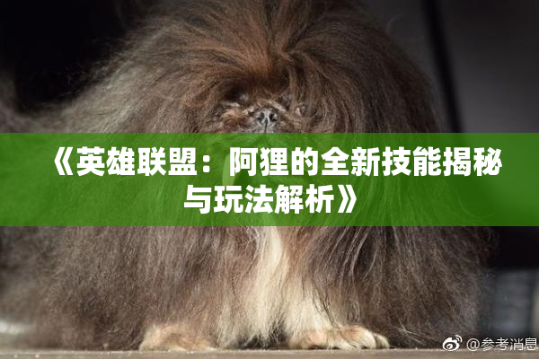 《英雄联盟：阿狸的全新技能揭秘与玩法解析》
