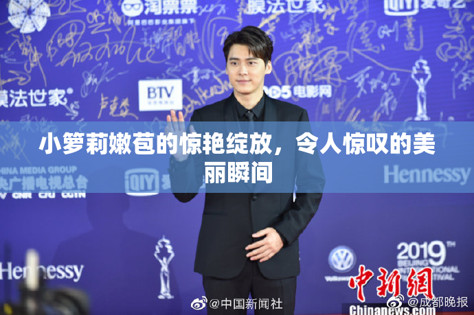 小箩莉嫩苞的惊艳绽放，令人惊叹的美丽瞬间