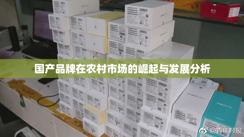 国产品牌在农村市场的崛起与发展分析