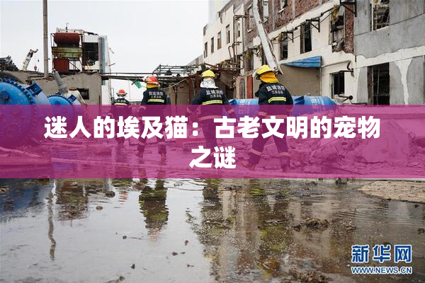 迷人的埃及猫：古老文明的宠物之谜