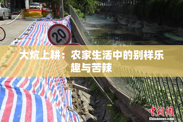 大炕上耕：农家生活中的别样乐趣与苦辣