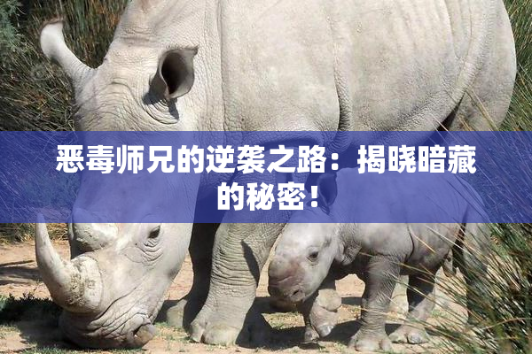 恶毒师兄的逆袭之路：揭晓暗藏的秘密！