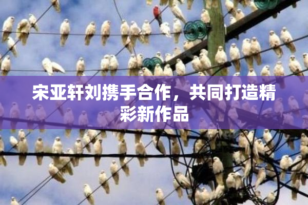 宋亚轩刘携手合作，共同打造精彩新作品
