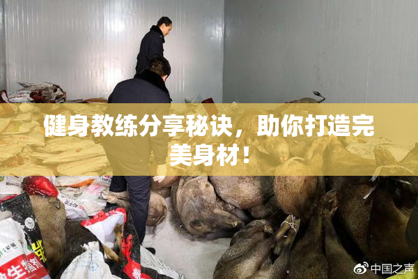 健身教练分享秘诀，助你打造完美身材！
