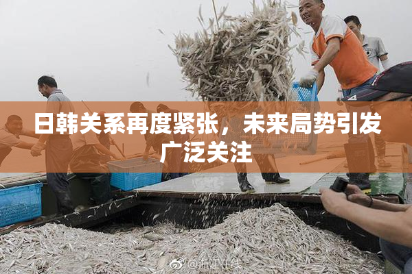日韩关系再度紧张，未来局势引发广泛关注