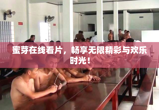 蜜芽在线看片，畅享无限精彩与欢乐时光！