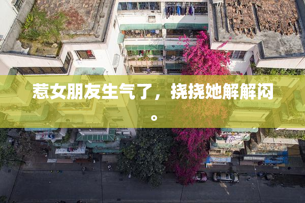 惹女朋友生气了，挠挠她解解闷。