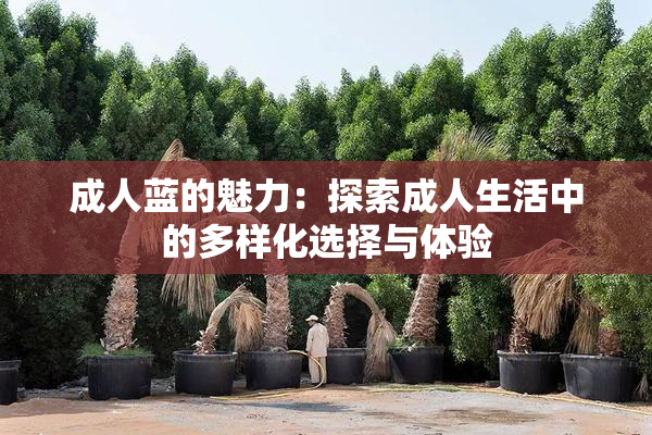 成人蓝的魅力：探索成人生活中的多样化选择与体验