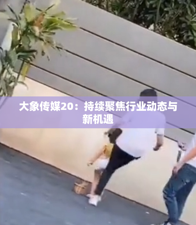 大象传媒20：持续聚焦行业动态与新机遇