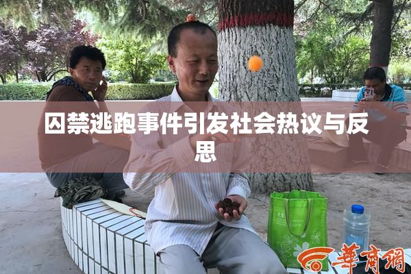 囚禁逃跑事件引发社会热议与反思