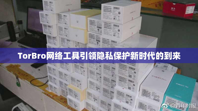 TorBro网络工具引领隐私保护新时代的到来