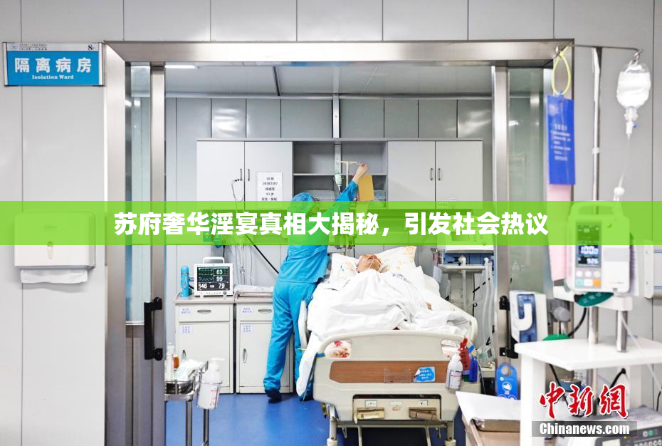 苏府奢华淫宴真相大揭秘，引发社会热议