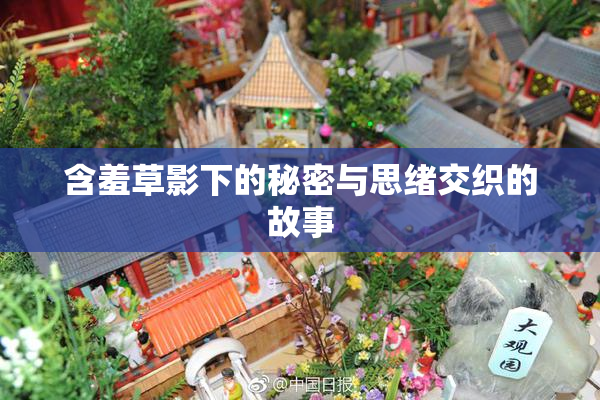 含羞草影下的秘密与思绪交织的故事