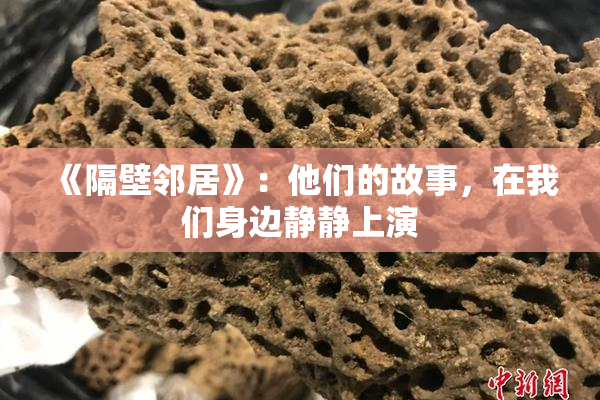 《隔壁邻居》：他们的故事，在我们身边静静上演