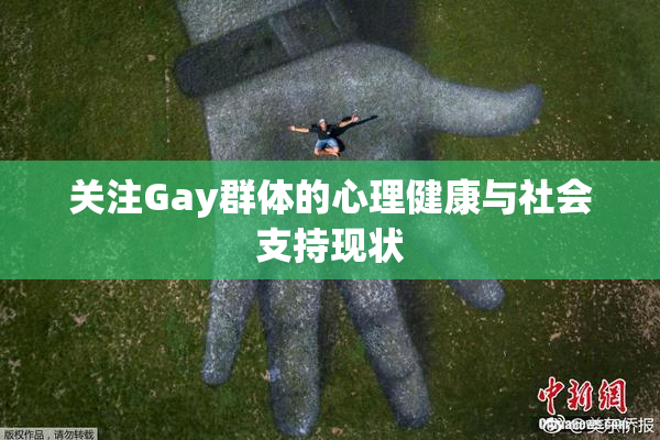 关注Gay群体的心理健康与社会支持现状