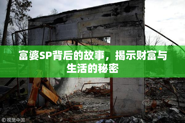 富婆SP背后的故事，揭示财富与生活的秘密