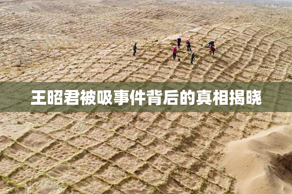 王昭君被吸事件背后的真相揭晓