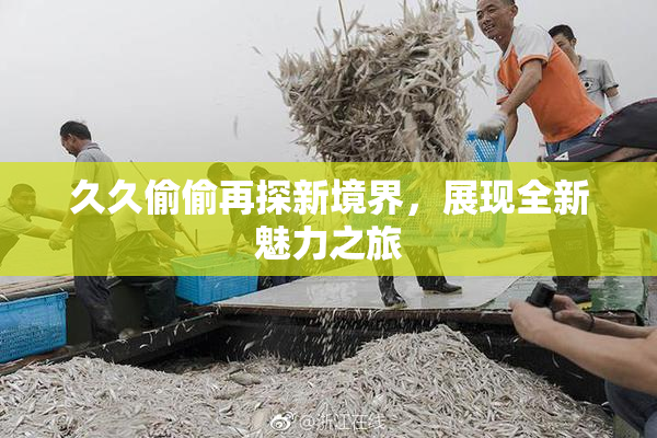 久久偷偷再探新境界，展现全新魅力之旅