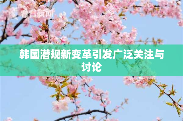 韩国潜规新变革引发广泛关注与讨论