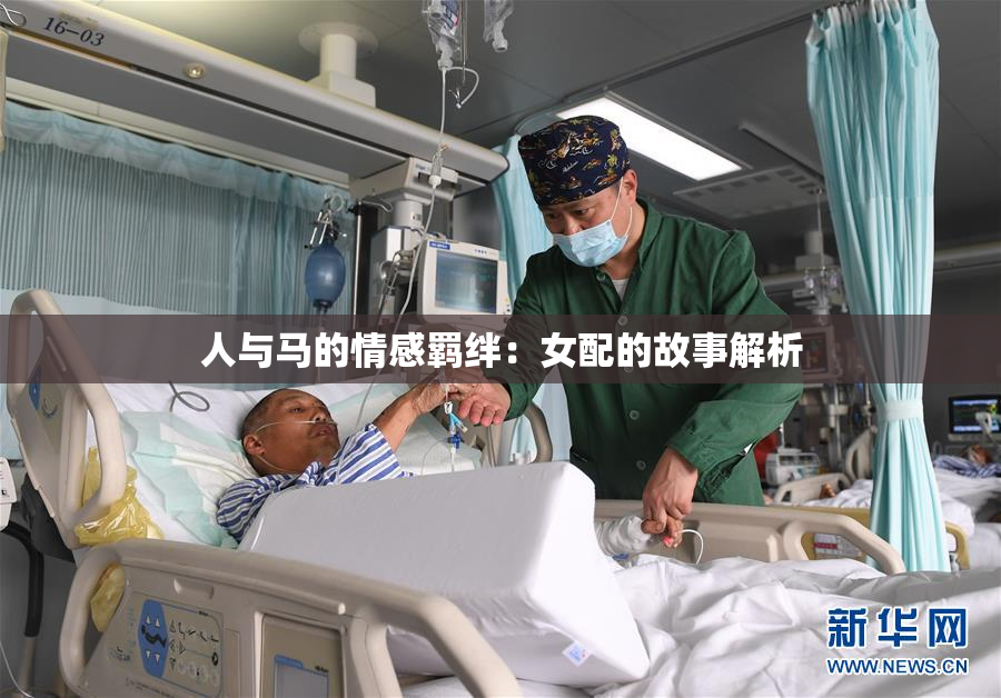 人与马的情感羁绊：女配的故事解析