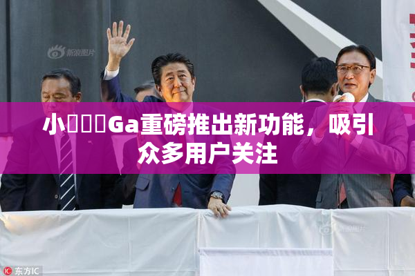 小藍視頻Ga重磅推出新功能，吸引众多用户关注
