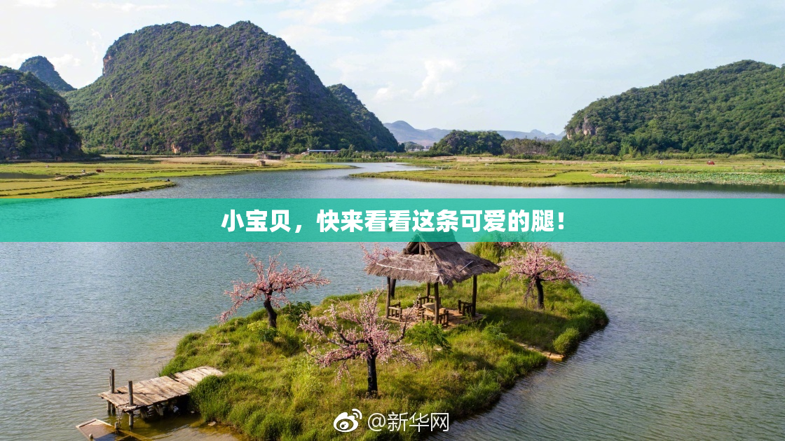 小宝贝，快来看看这条可爱的腿！