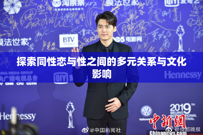 探索同性恋与性之间的多元关系与文化影响