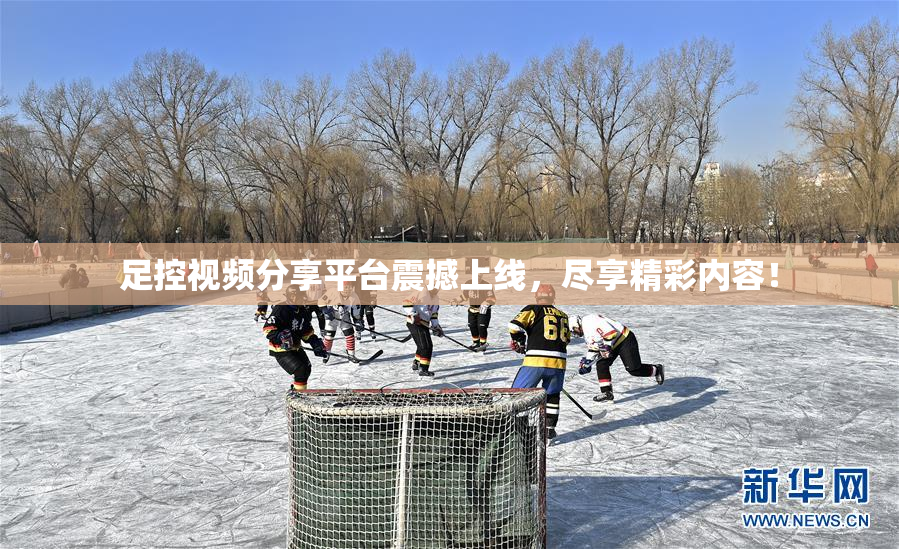 足控视频分享平台震撼上线，尽享精彩内容！