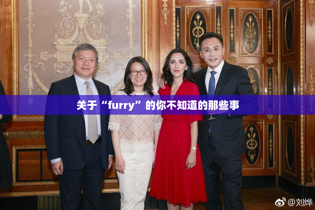 关于“furry”的你不知道的那些事