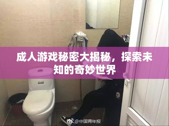 成人游戏秘密大揭秘，探索未知的奇妙世界