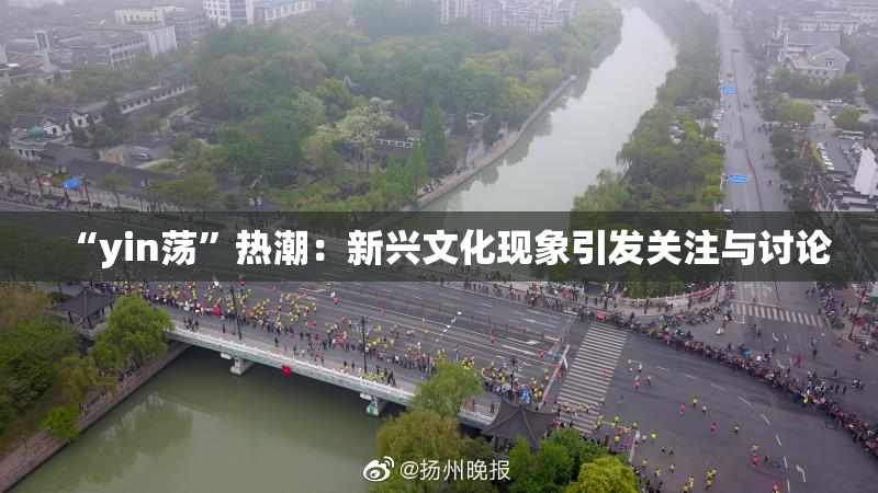 “yin荡”热潮：新兴文化现象引发关注与讨论