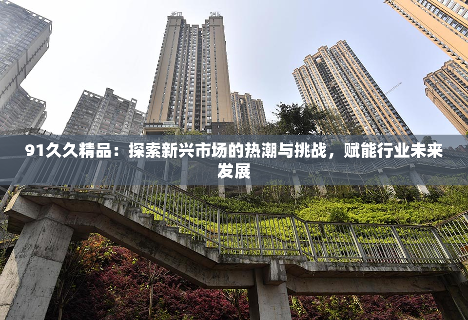 91久久精品：探索新兴市场的热潮与挑战，赋能行业未来发展