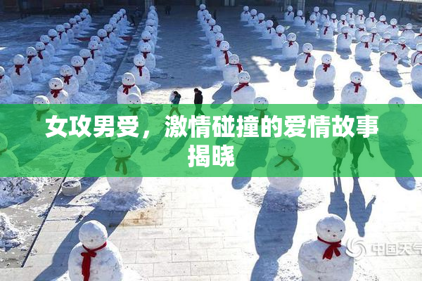 女攻男受，激情碰撞的爱情故事揭晓