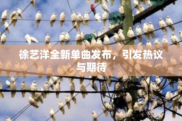 徐艺洋全新单曲发布，引发热议与期待