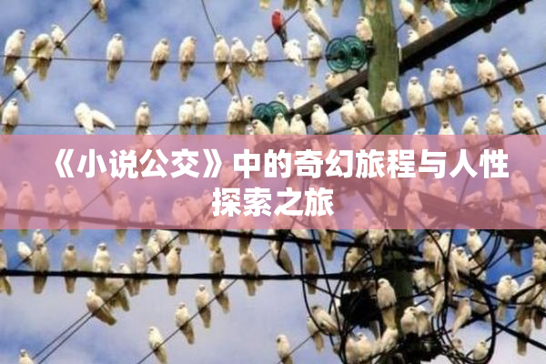 《小说公交》中的奇幻旅程与人性探索之旅