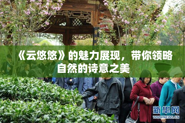 《云悠悠》的魅力展现，带你领略自然的诗意之美