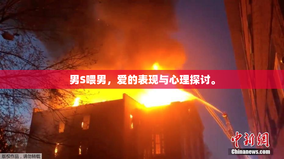 男S喂男，爱的表现与心理探讨。