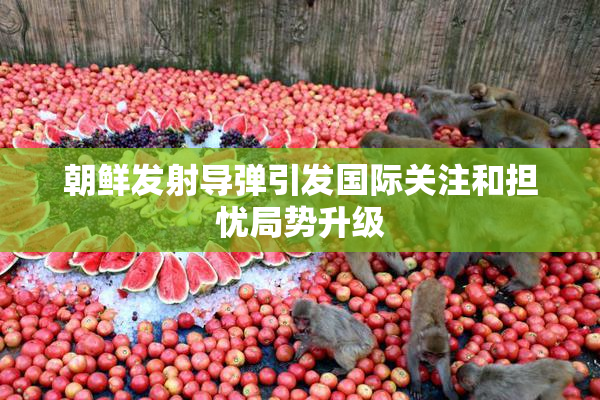 朝鲜发射导弹引发国际关注和担忧局势升级