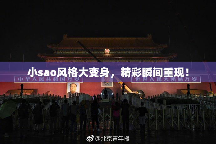 小sao风格大变身，精彩瞬间重现！