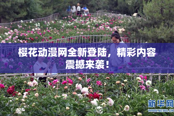 樱花动漫网全新登陆，精彩内容震撼来袭！