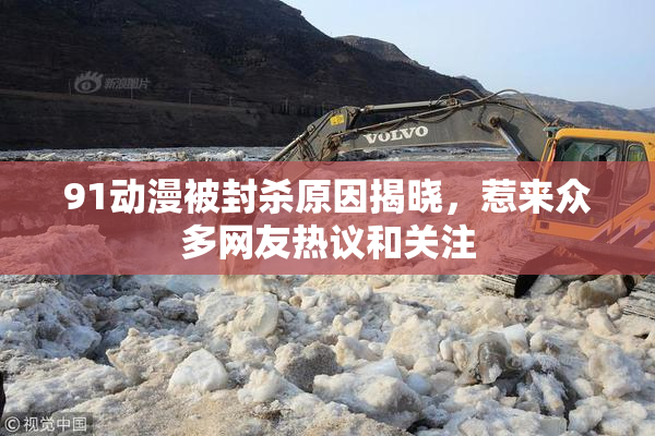 91动漫被封杀原因揭晓，惹来众多网友热议和关注