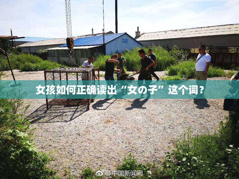 女孩如何正确读出“女の子”这个词？