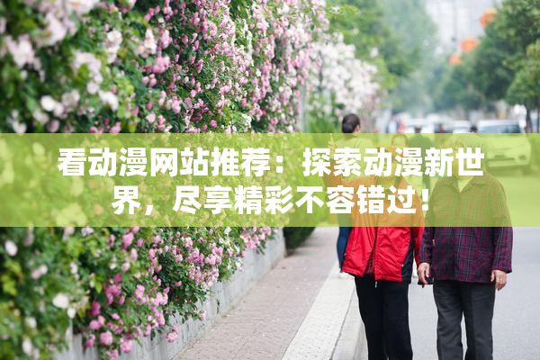 看动漫网站推荐：探索动漫新世界，尽享精彩不容错过！